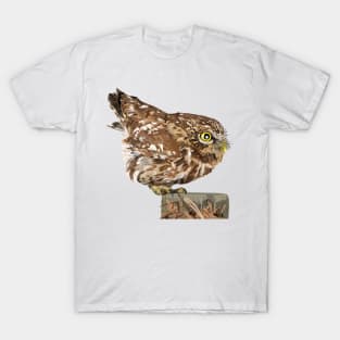 Owl T-Shirt